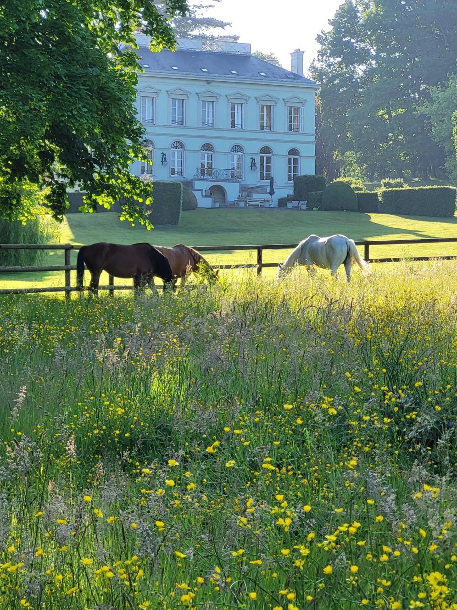 La Maison Du Cavalier, Chateau De Lavenue * Pierrefitte-en-Auge